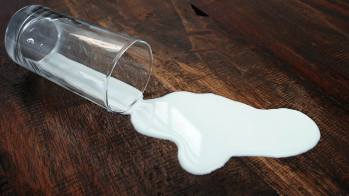 Insight on Research Insights