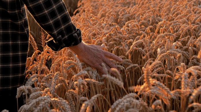 Modern Slavery Risks and Compliance:  What Boards and Executives Need to Know