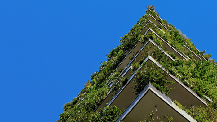 What is B Corp? The Revolution Redefining Business Purpose