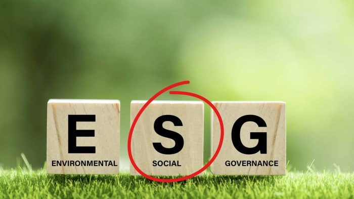 Solving the Social Dilemma: Best-practice ESG management for business